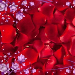Ayat