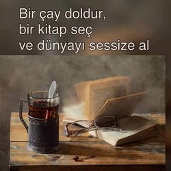 EFe