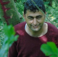 Gürbüz