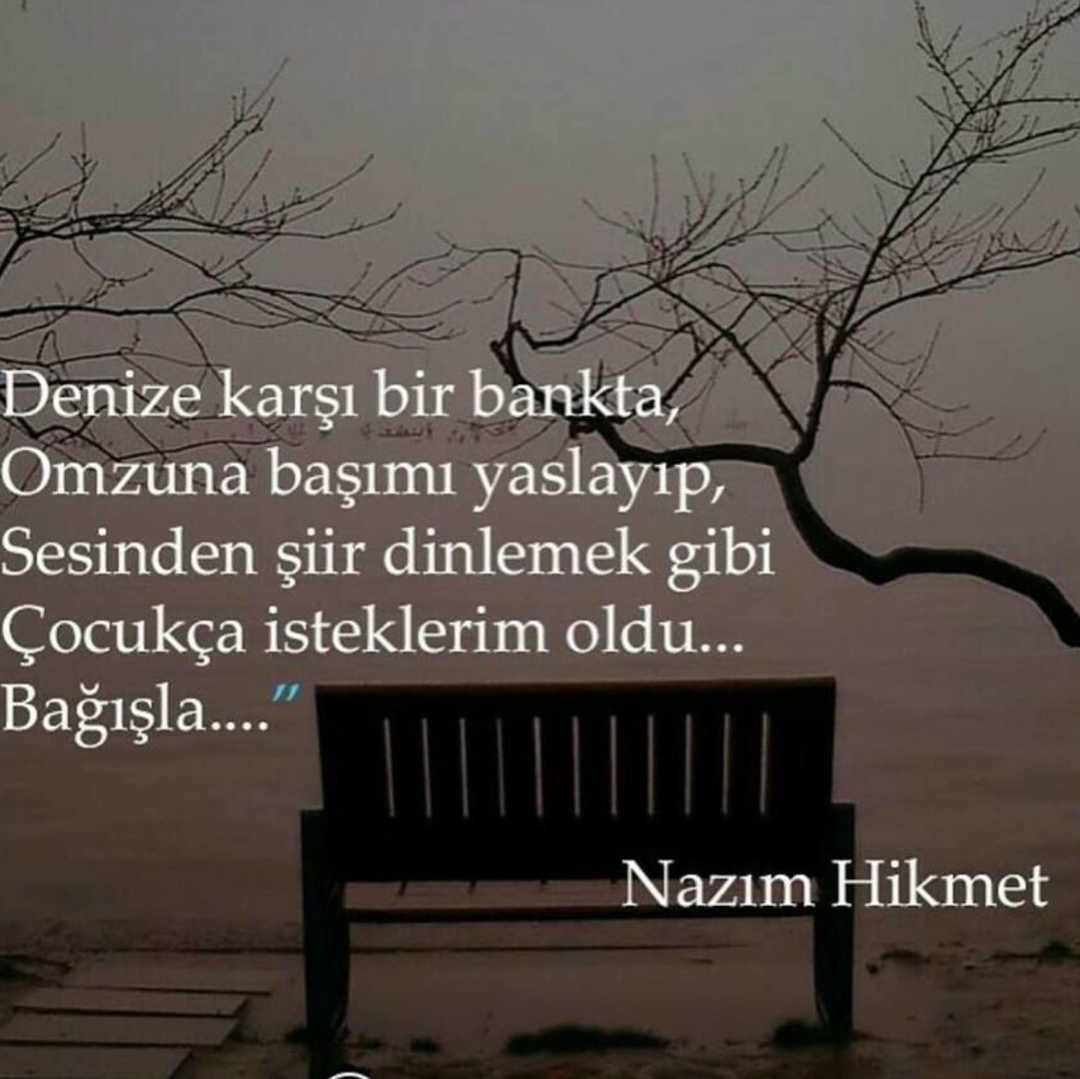 Buse