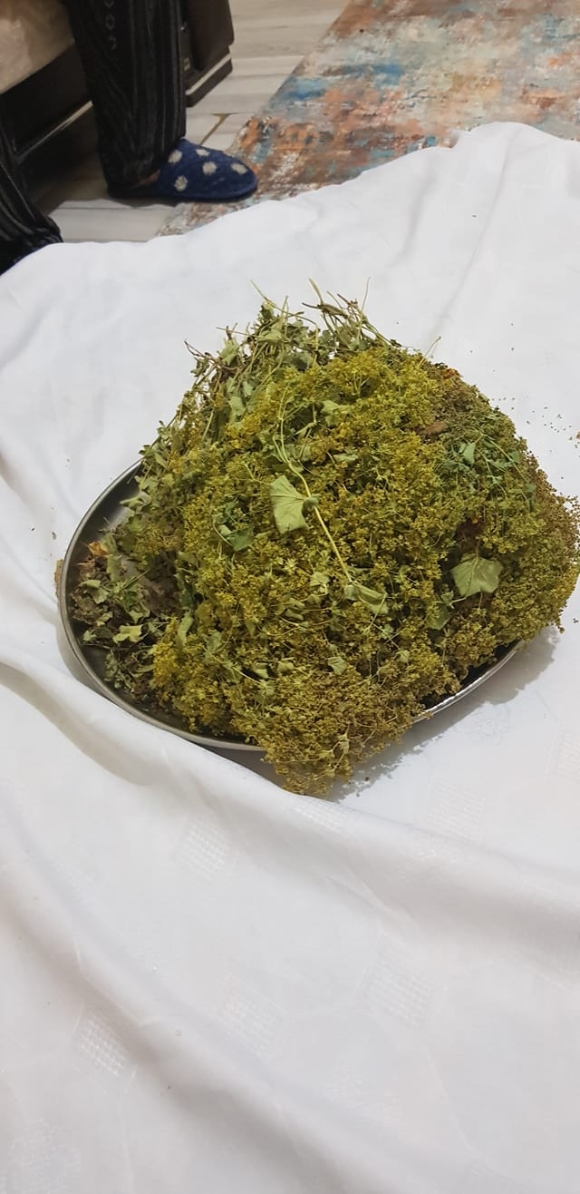 Dadaş