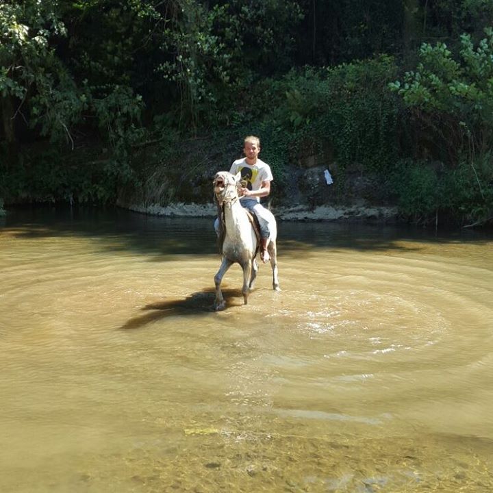 Gürcan