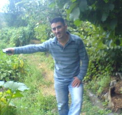 Halil
