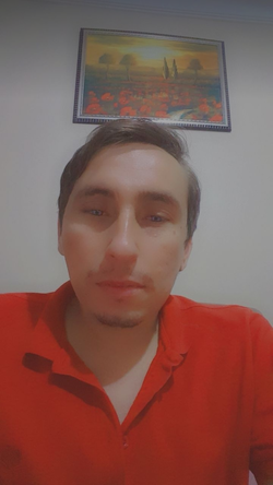 TSari