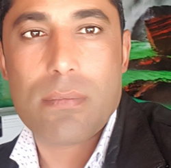 Doğan