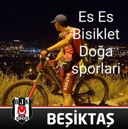 Çarşı