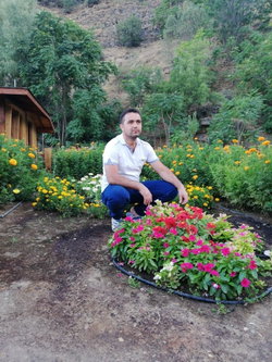 Gazi
