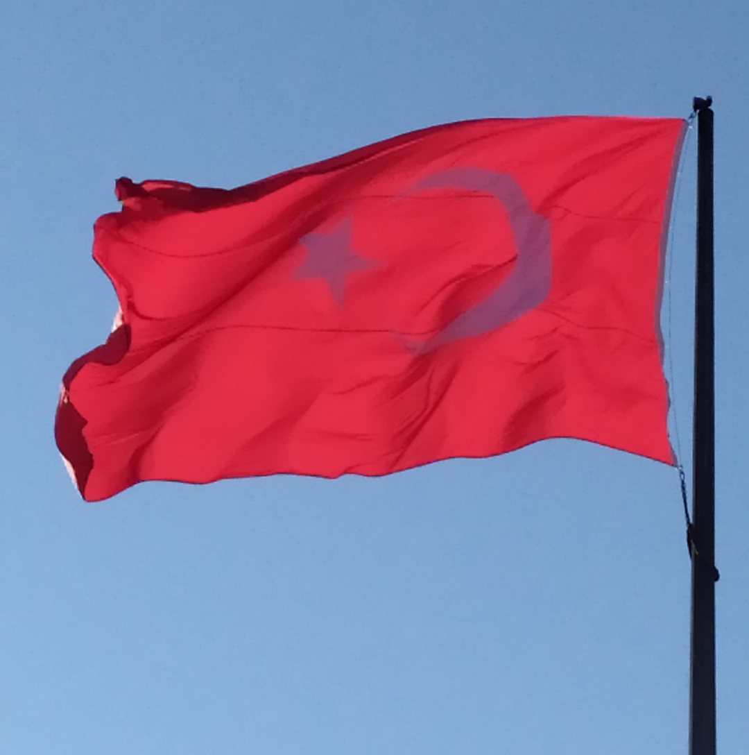 Doğan