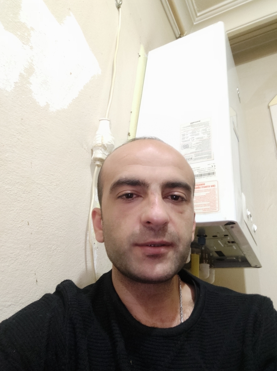 Seedar