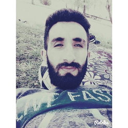 Halis