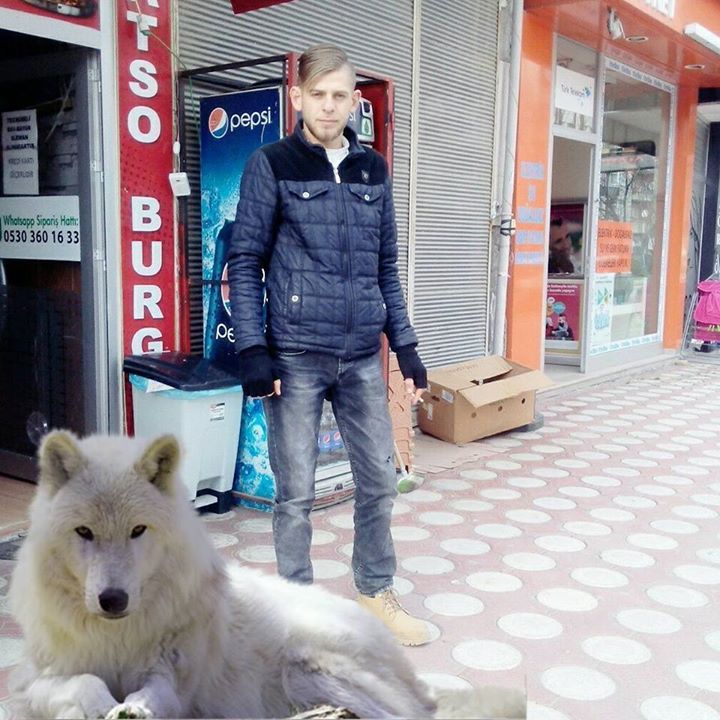Berati