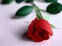 Faruk
