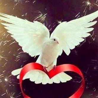 Hilal