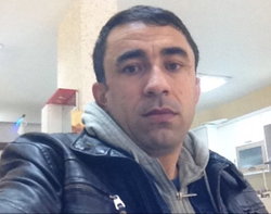 Şahin