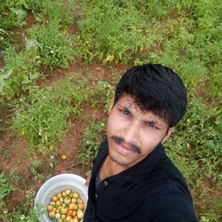 Mullai