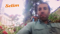Memet