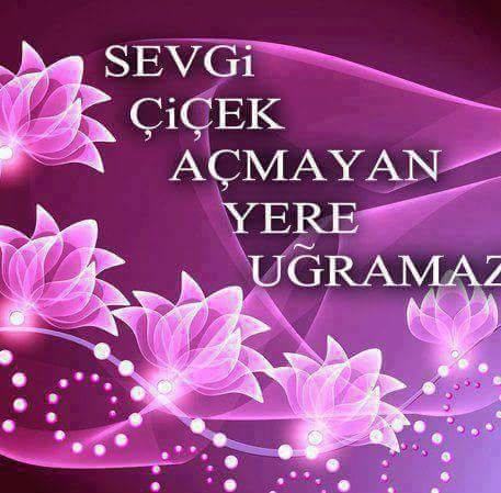 Ayşe