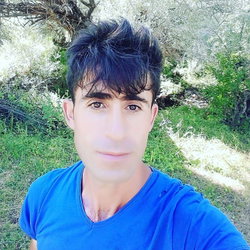 Erdal