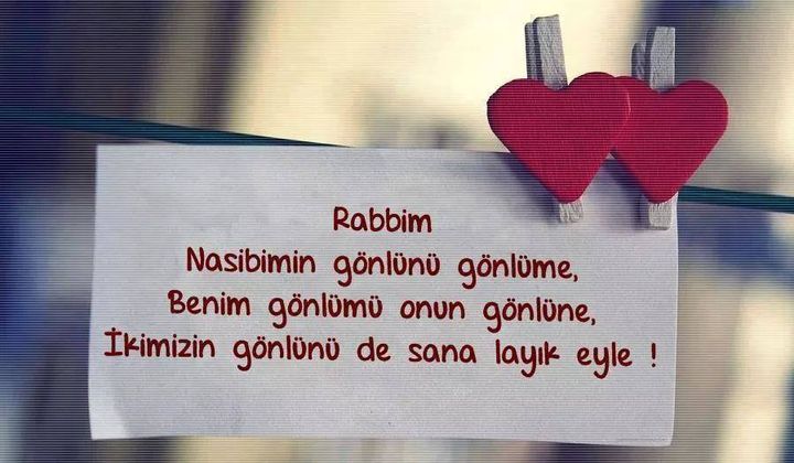 SiNem