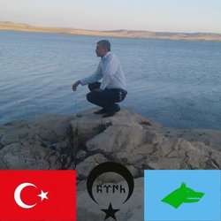 Ali