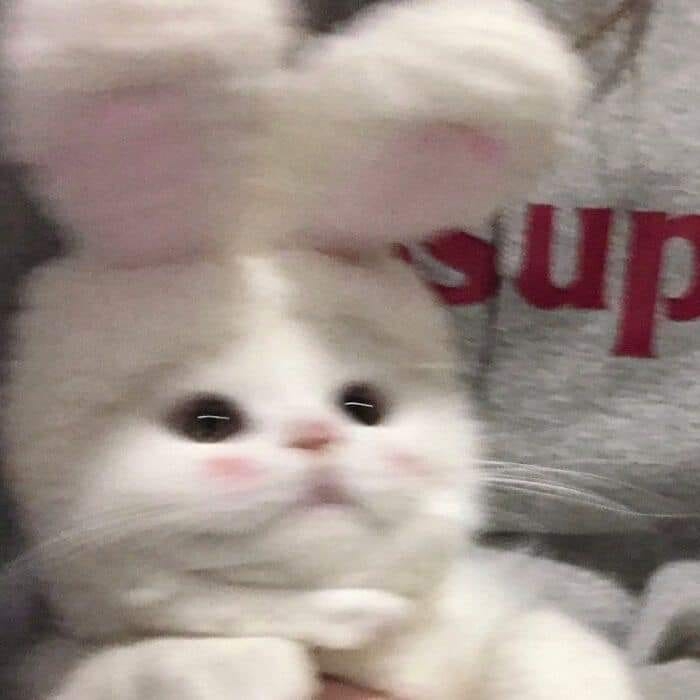 Hana