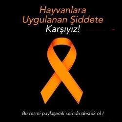 Nurgül