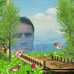 Seydi