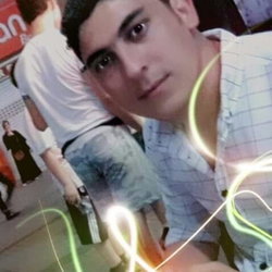 Şahin