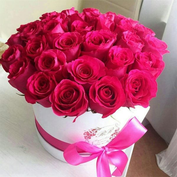 Suliman