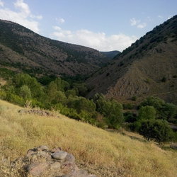 Ayhan
