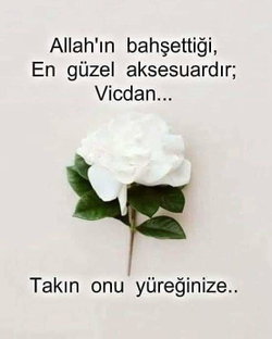 Suat