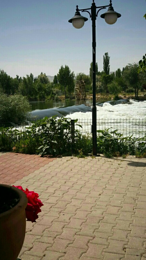 Mustafa
