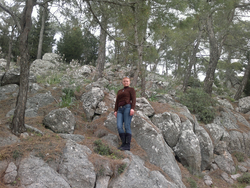 Ciornei