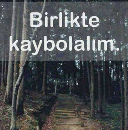 Ayna