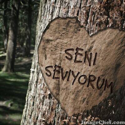 Mert