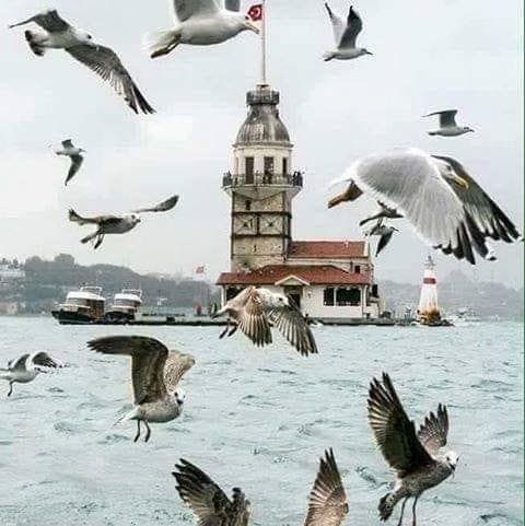 Serkan