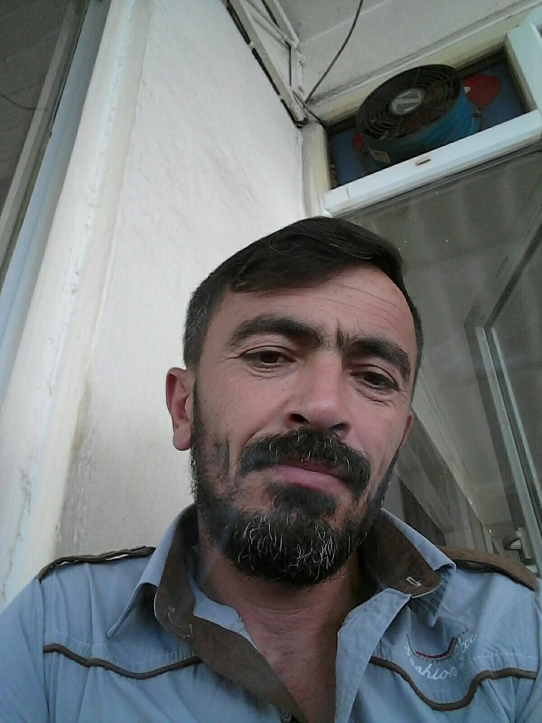 Bulanıklı