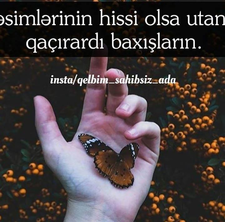 Aybek