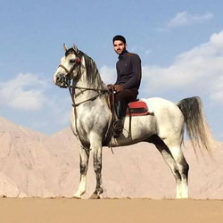 Sedrettin