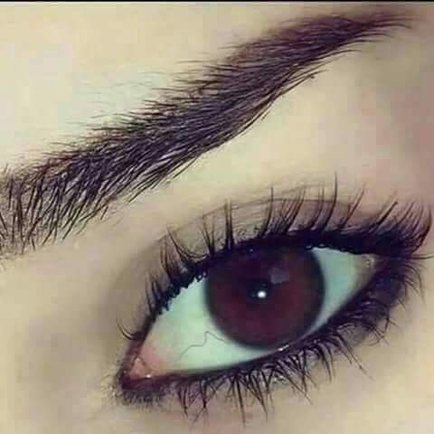 اسامه