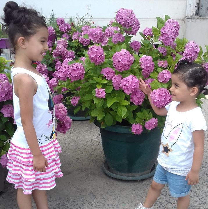 Yüsra
