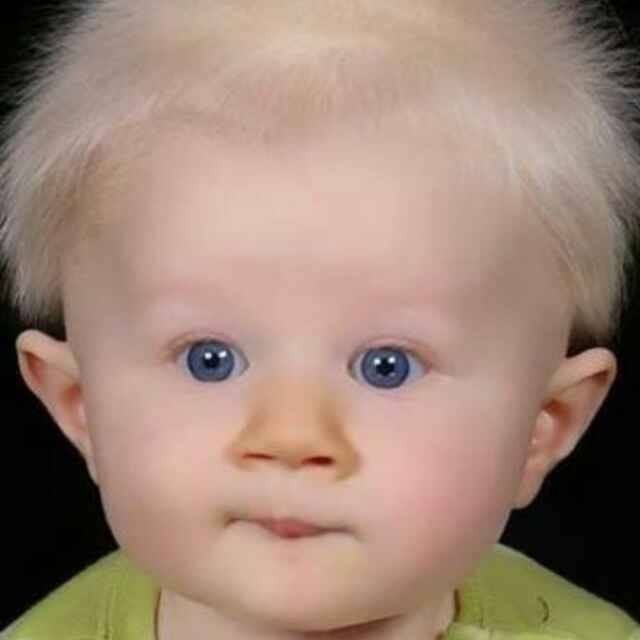 Engin