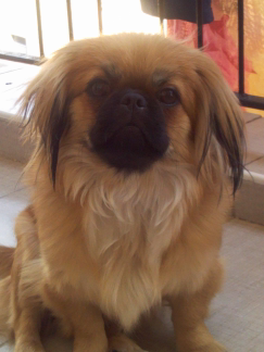 Suna