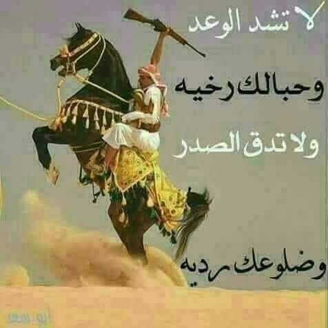 أبو