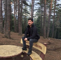 Şahin