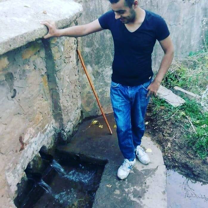 Doğan