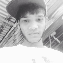 Frass