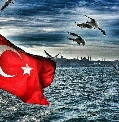 Ozan
