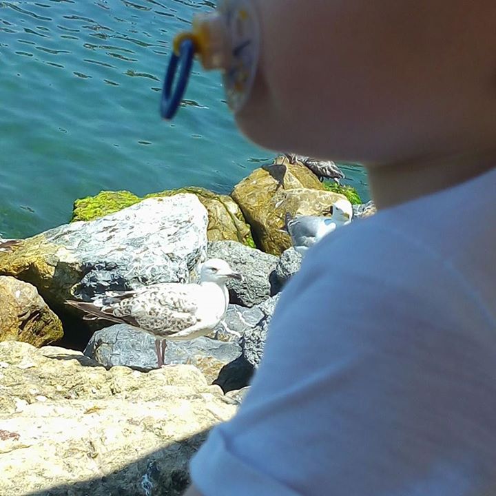 Erkan