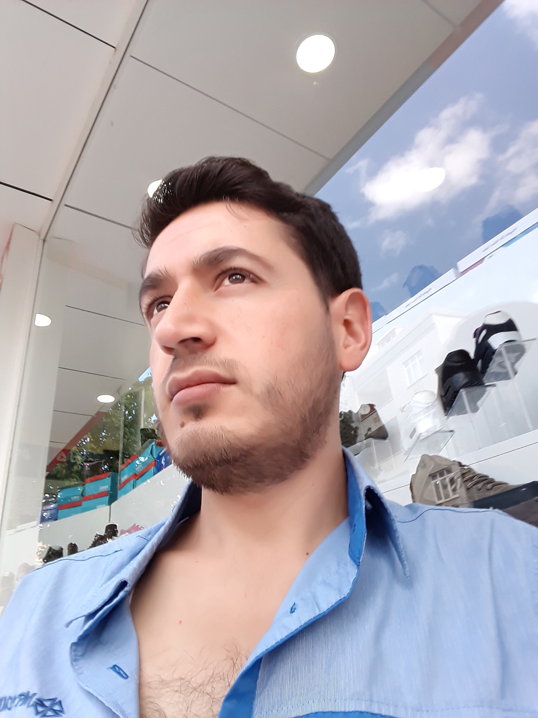 Şahin